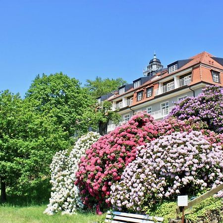Ferienwohnung Natur Und Kunst Дрезден Екстериор снимка