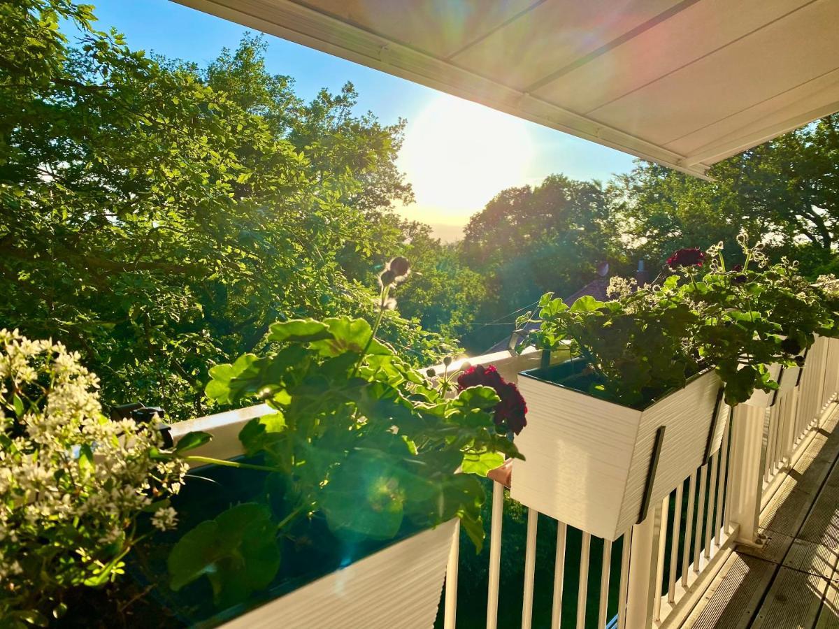 Ferienwohnung Natur Und Kunst Дрезден Екстериор снимка