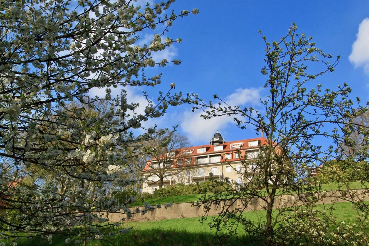 Ferienwohnung Natur Und Kunst Дрезден Екстериор снимка