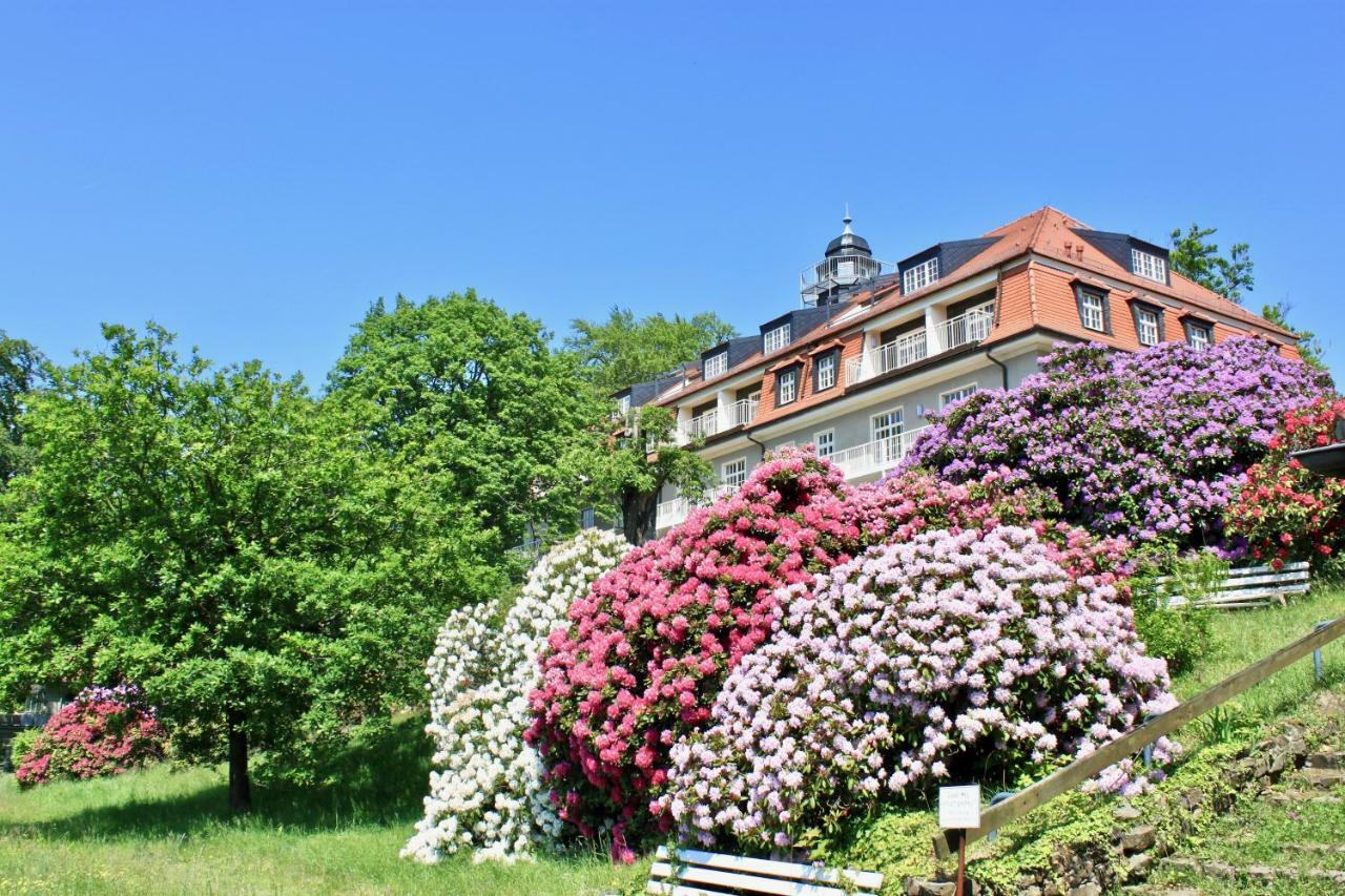Ferienwohnung Natur Und Kunst Дрезден Екстериор снимка