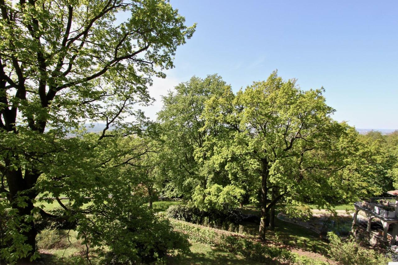 Ferienwohnung Natur Und Kunst Дрезден Екстериор снимка