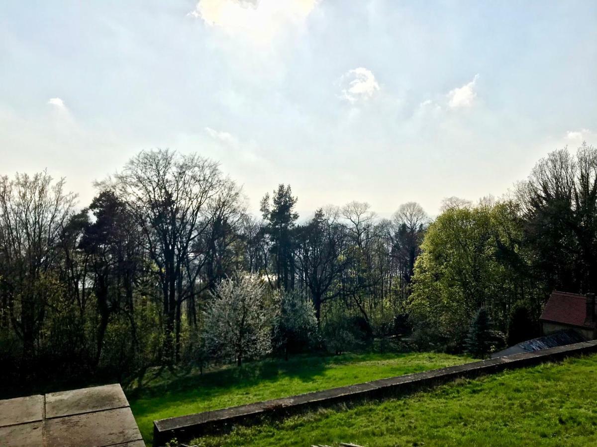 Ferienwohnung Natur Und Kunst Дрезден Екстериор снимка