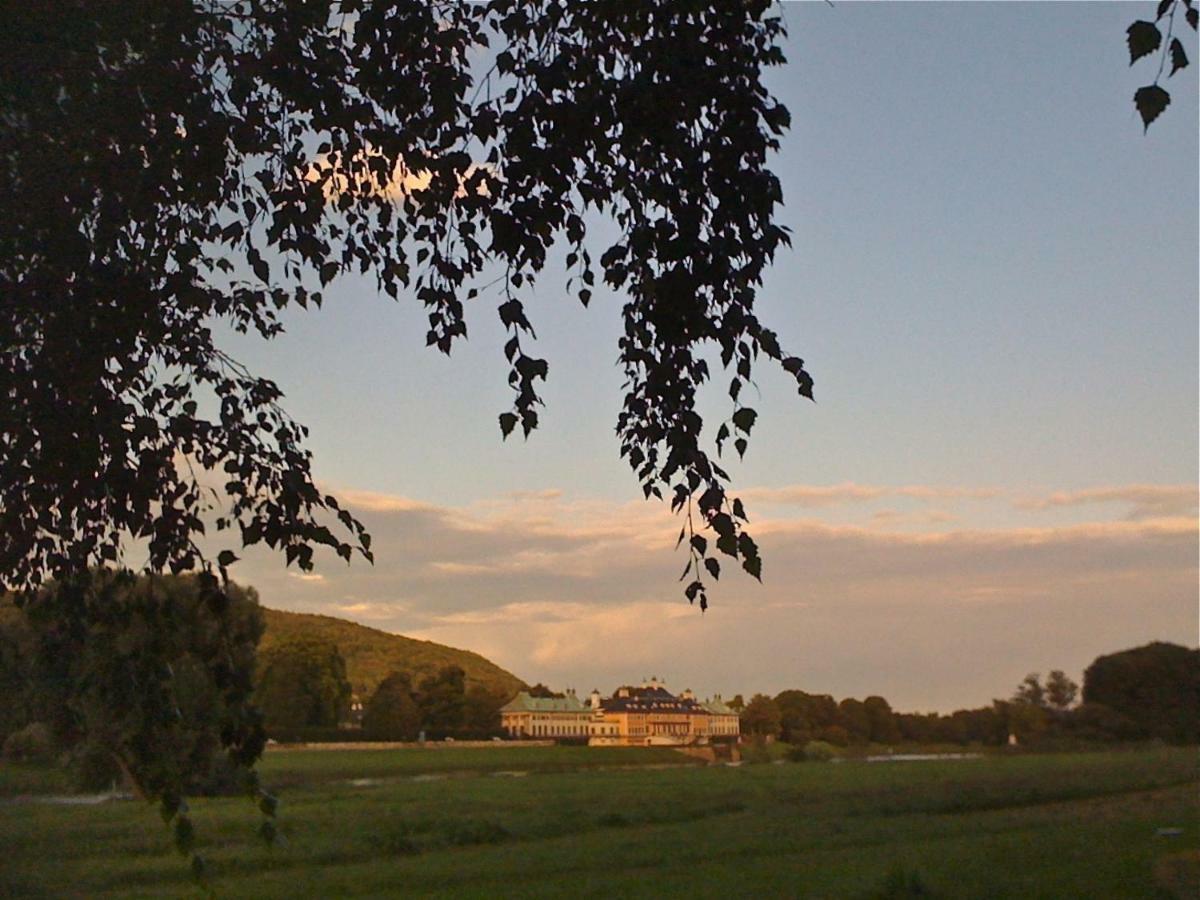 Ferienwohnung Natur Und Kunst Дрезден Екстериор снимка