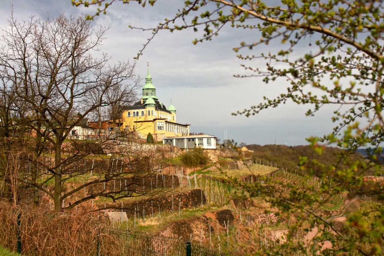 Ferienwohnung Natur Und Kunst Дрезден Екстериор снимка
