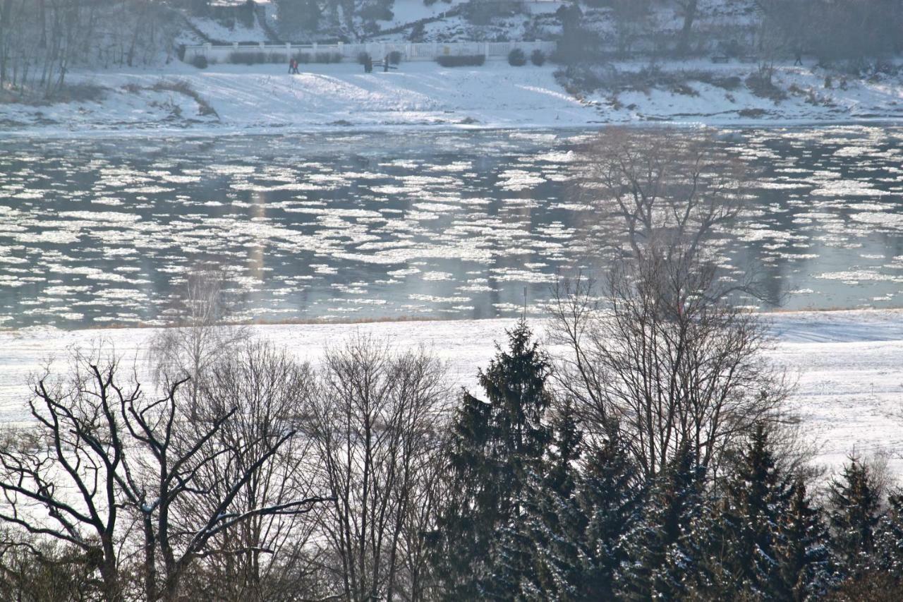 Ferienwohnung Natur Und Kunst Дрезден Екстериор снимка